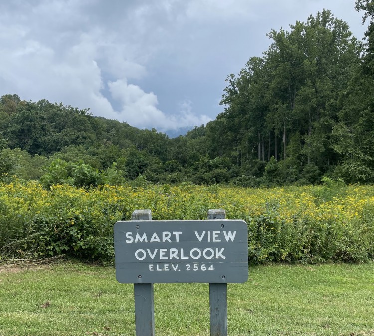 Smart View Recreation Area on Blue Ridge parkway (Ferrum,&nbspVA)